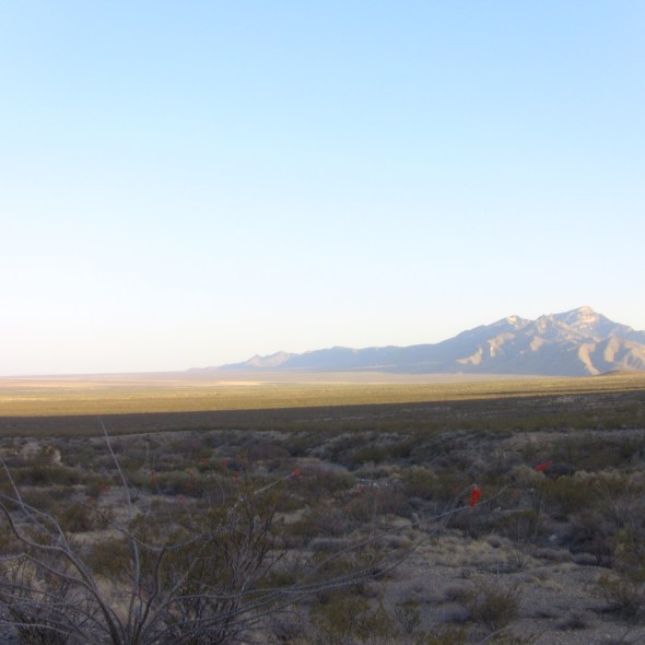 The blue swallows the eyes