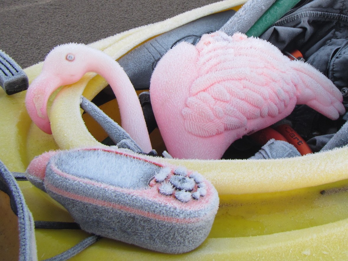 Frozen Frank and GPS