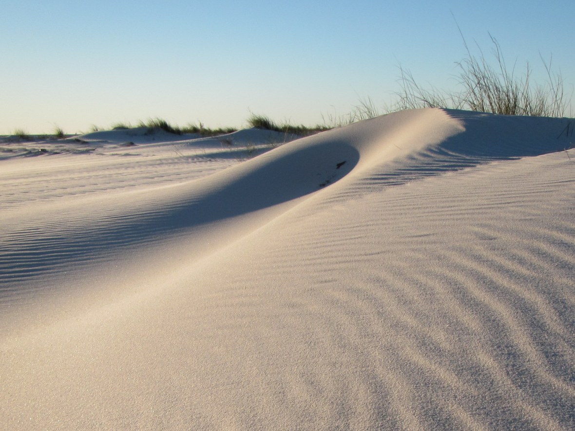 Sand Dunes in the Gulf