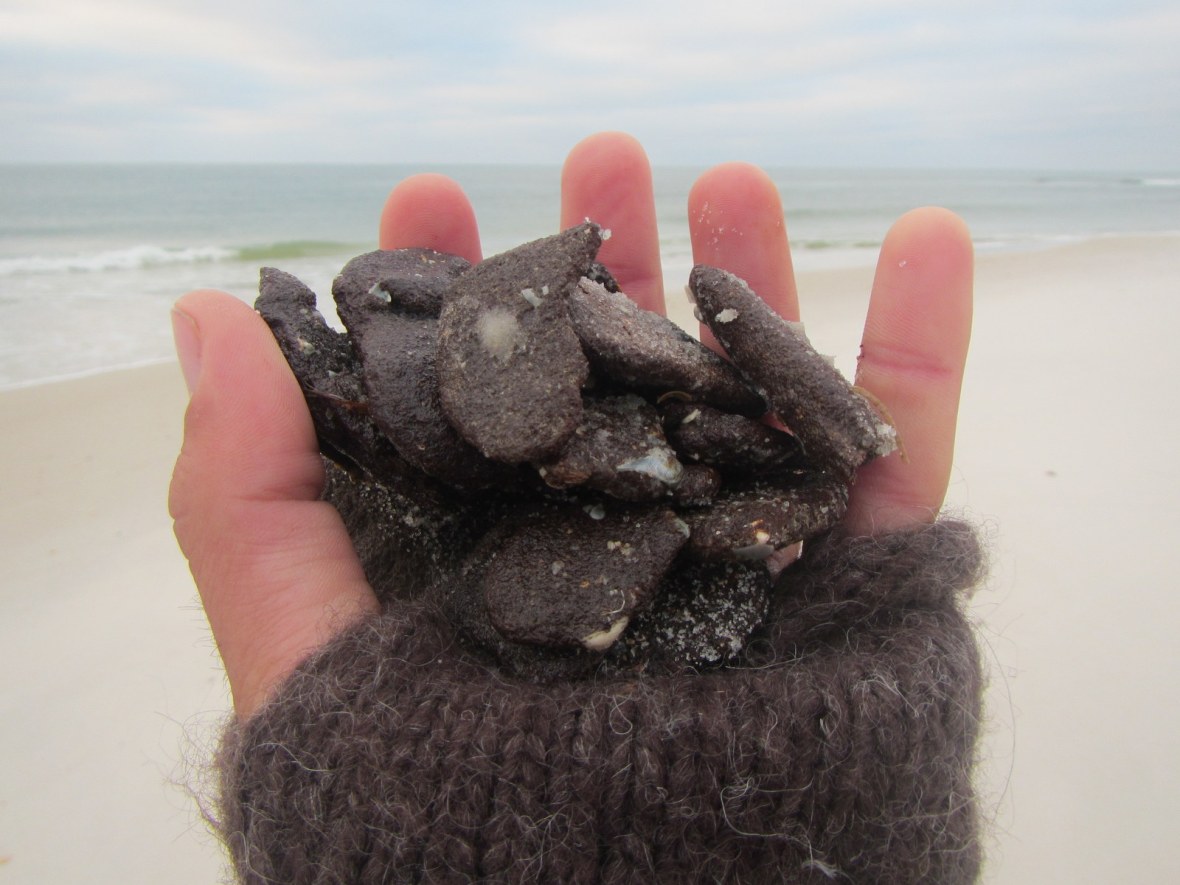 Tar washed up on Perdido Key