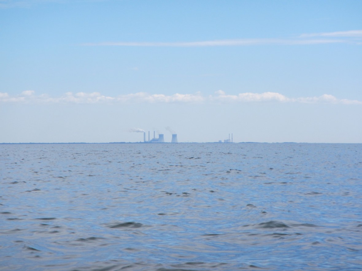 Nuclear and Coal Plants on the Horizon