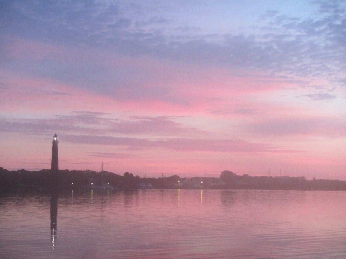 Pink Sunrise