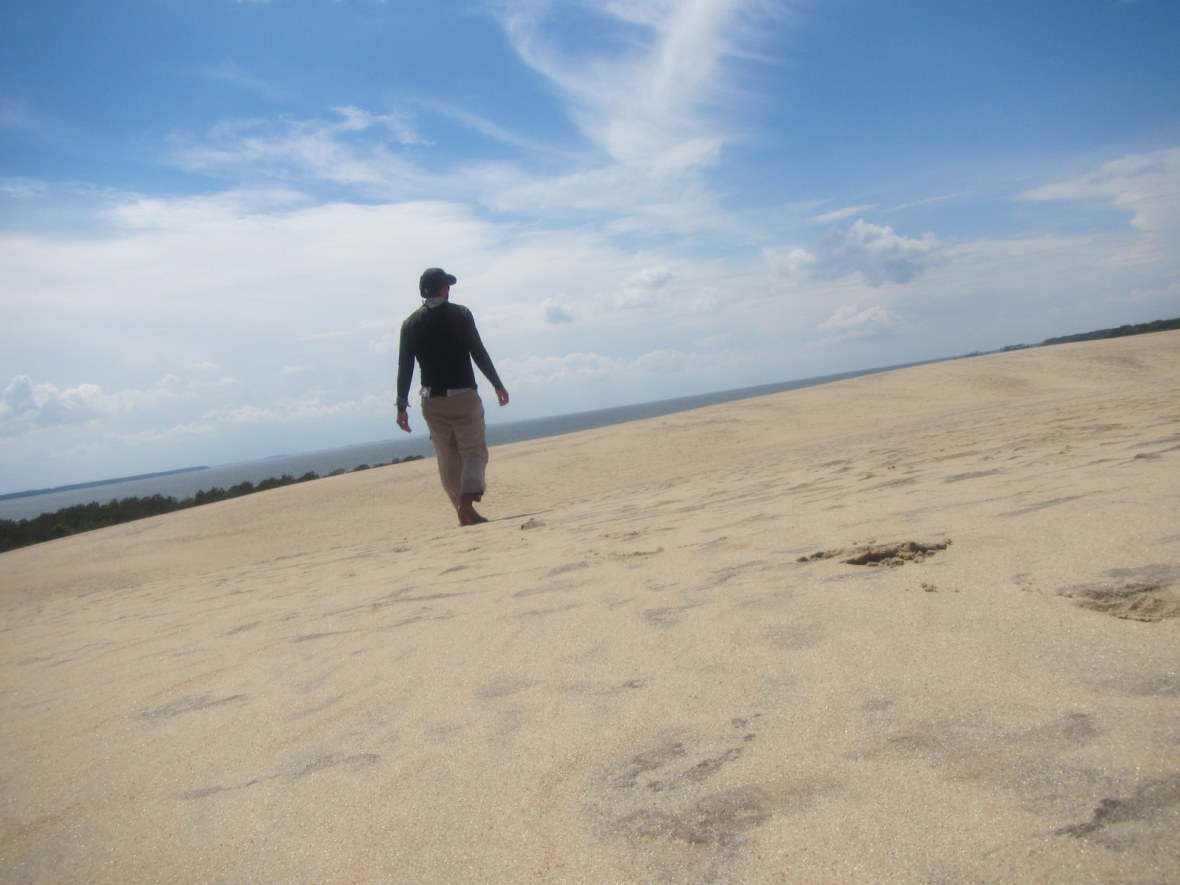Jockey's Ridge