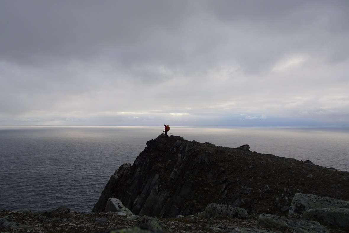 wp-1466703574204 image